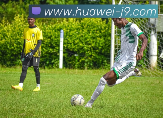 九游体育APP 封面图